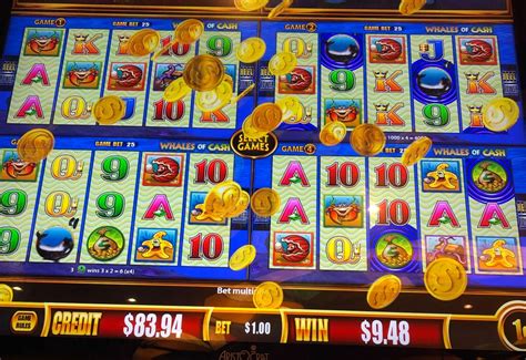 buffalo gold jackpot 2019|Slot Moments: Over 1000x Buffalo Gold Jackpot Handpay on .